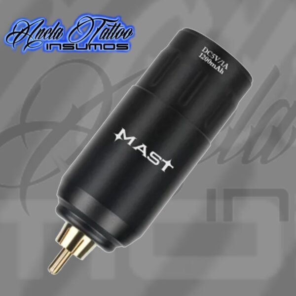 FUENTE INALÁMBRICA MAST U.1 (RCA)